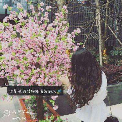 厦门房地产网截图